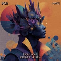 Don Son [Journey Series]